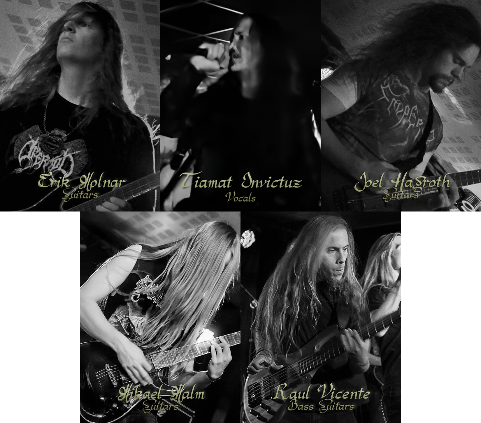 All band members